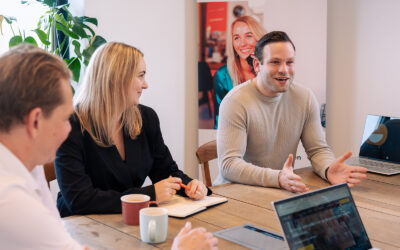 Toelating terbeschikkingstelling van arbeidskrachten (Wet TTA)