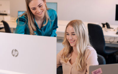 De Wet Verbetering Zekerheid Flexibele Arbeidskrachten